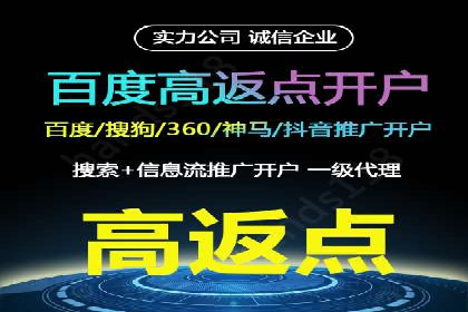 搜索引擎营销（SEM）在电商行业的投放策略案例